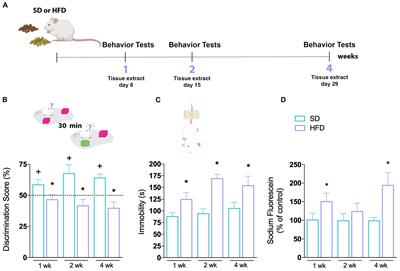 Hippocampal Function Is Impaired by a Short-Term High-Fat Diet in Mice: Increased Blood–Brain Barrier Permeability and Neuroinflammation as Triggering Events